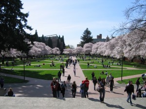 University of Washington Masters in Teaching